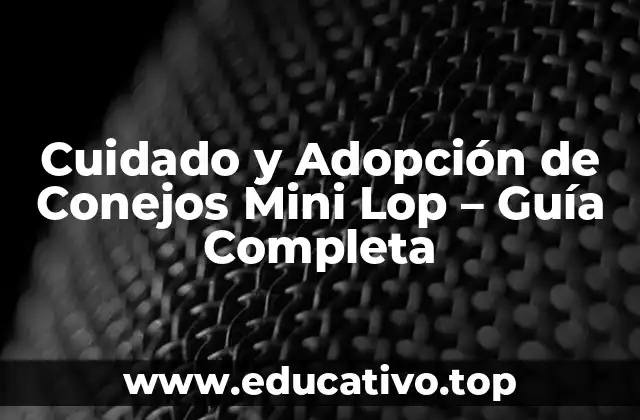 Cuidado y Adopción de Conejos Mini Lop – Guía Completa