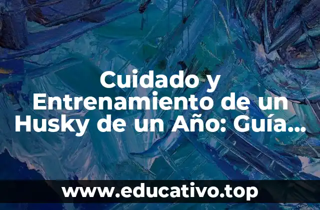 Cuidado y Entrenamiento de un Husky de un Año: Guía Completa