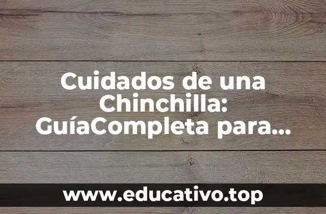 Cuidados de una Chinchilla: GuíaCompleta para Propietarios de Mascotas