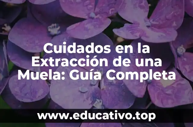 Cuidados en la Extracción de una Muela: Guía Completa