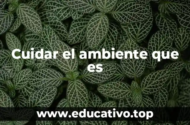 Cuidar el ambiente que es