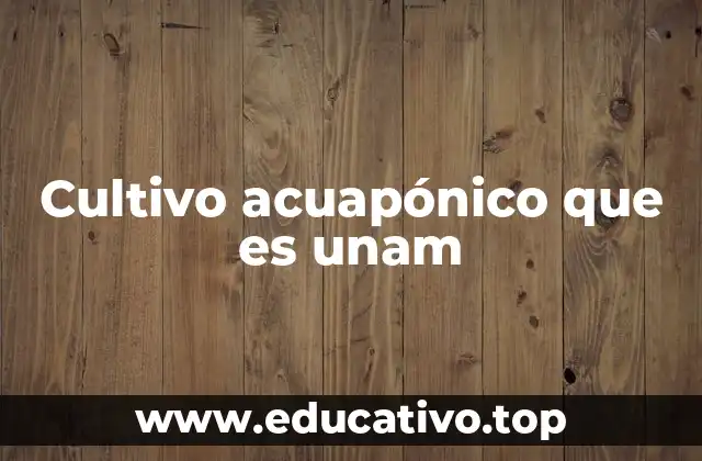 Cultivo acuapónico que es unam