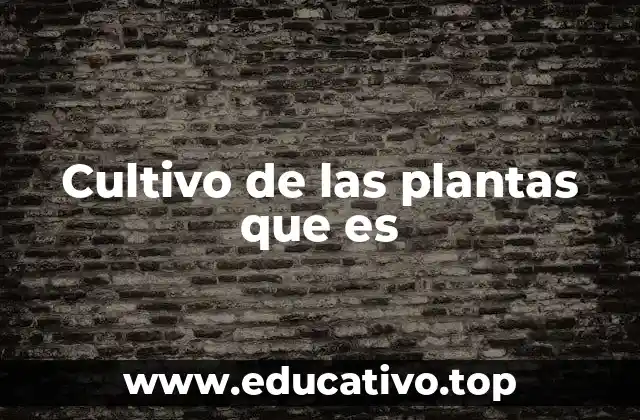 Cultivo de las plantas que es