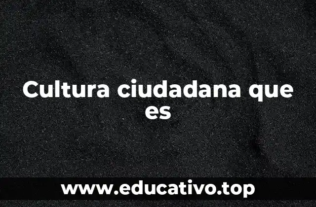 Cultura ciudadana que es