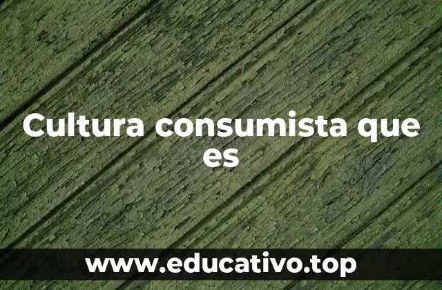 Cultura consumista que es