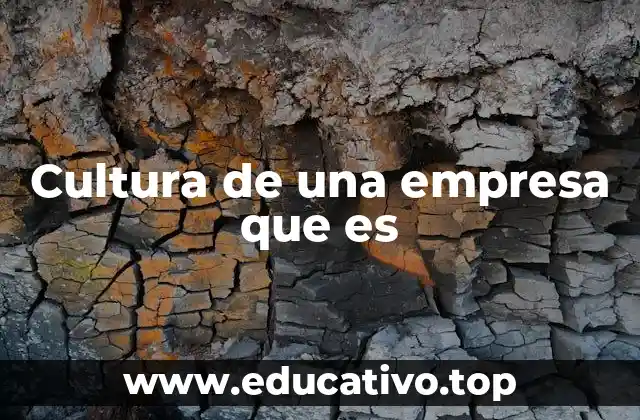 Cultura de una empresa que es