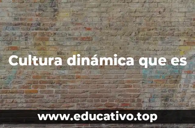 Cultura dinámica que es