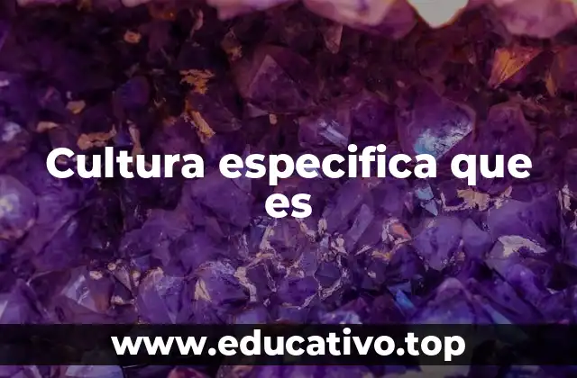 Cultura especifica que es