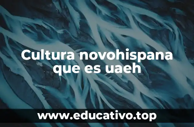 Cultura novohispana que es uaeh