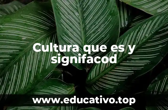 Cultura que es y signifacod