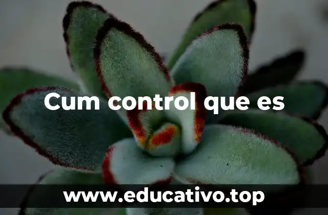 Cum control que es