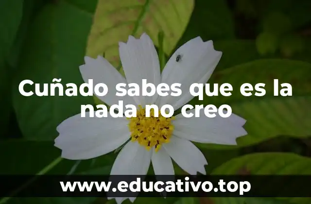 Cuñado sabes que es la nada no creo