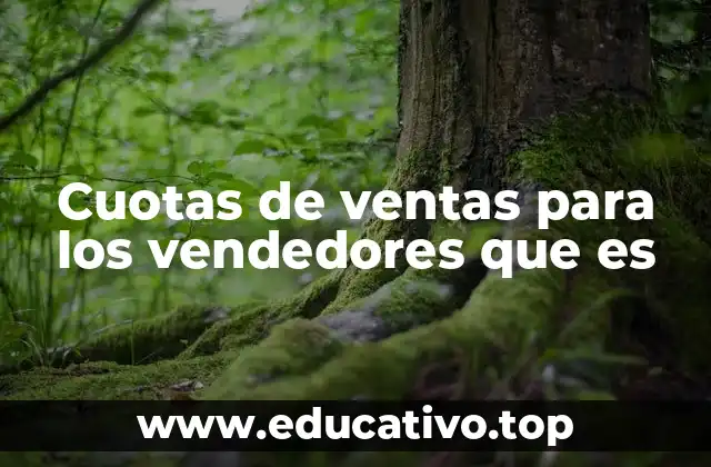 Cuotas de ventas para los vendedores que es