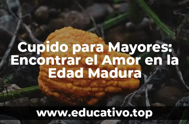 Cupido para Mayores: Encontrar el Amor en la Edad Madura