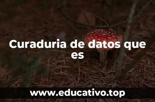 Curaduria de datos que es
