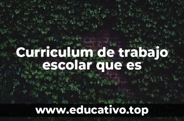 Curriculum de trabajo escolar que es