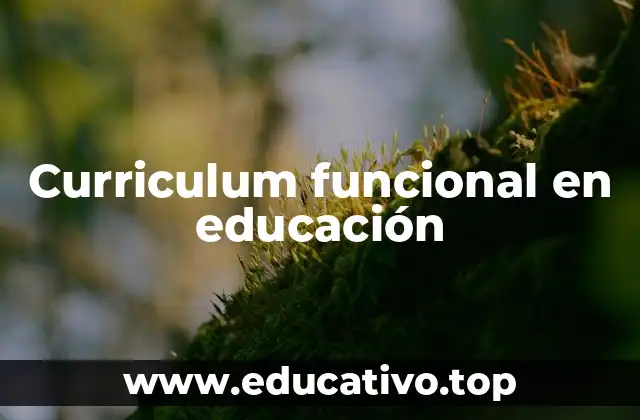 Curriculum funcional en educación
