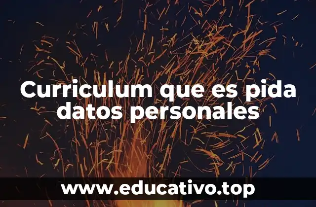 Curriculum que es pida datos personales