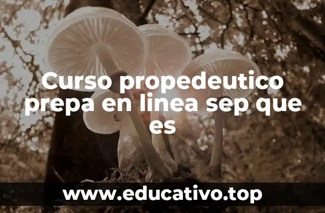 Curso propedeutico prepa en linea sep que es