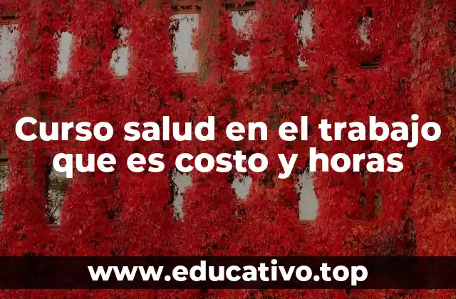 Curso salud en el trabajo que es costo y horas