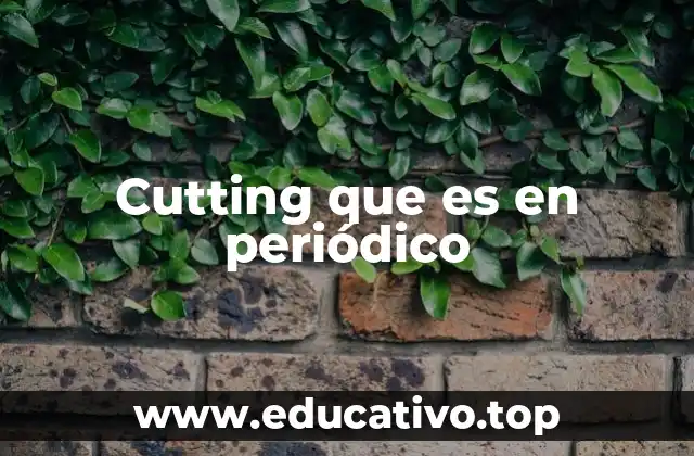Cutting que es en periódico