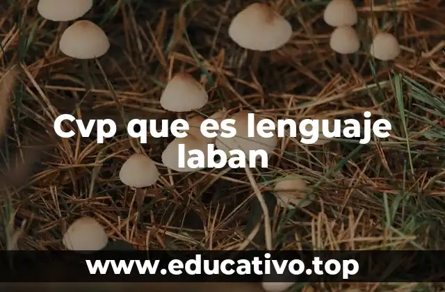 Cvp que es lenguaje laban
