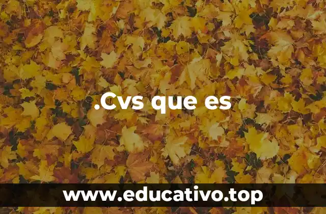 .Cvs que es