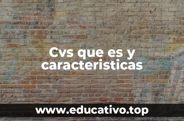 La importancia del CV en el mercado laboral actual