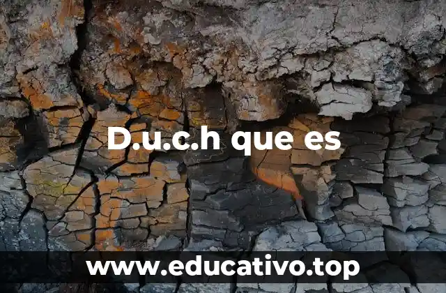 D.u.c.h que es