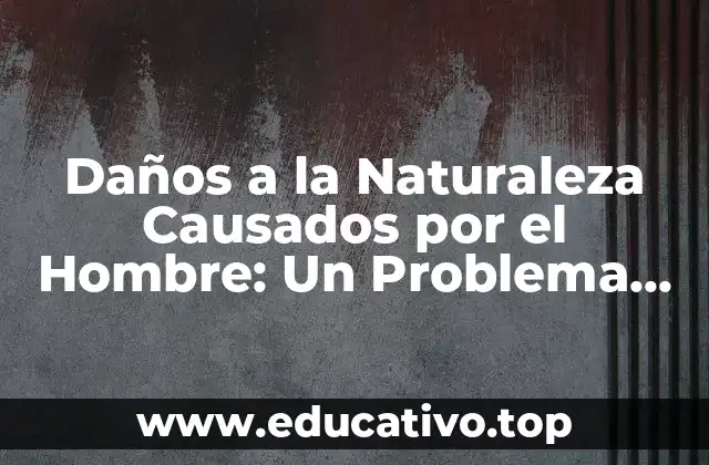 Daños a la Naturaleza Causados por el Hombre: Un Problema Global