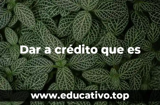 Dar a crédito que es