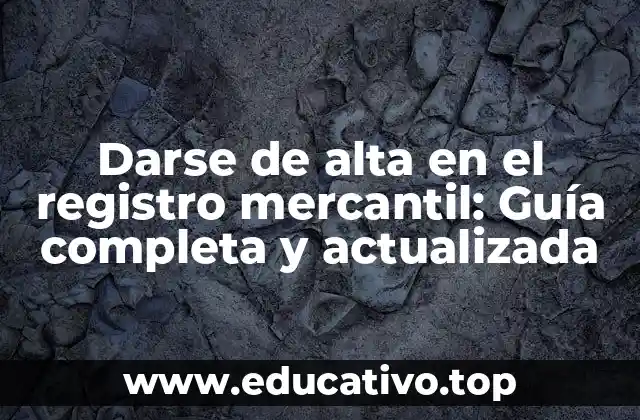 Darse de alta en el registro mercantil: Guía completa y actualizada