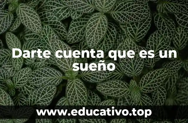 Darte cuenta que es un sueño