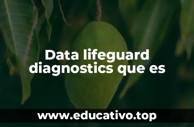 Data lifeguard diagnostics que es