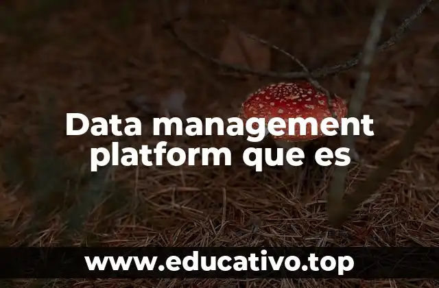 Data management platform que es