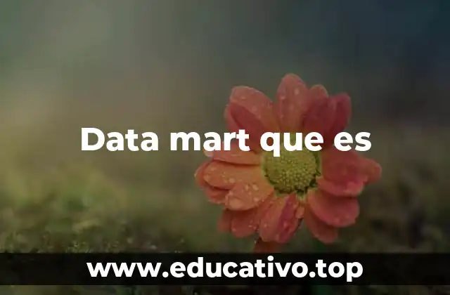 Data mart que es