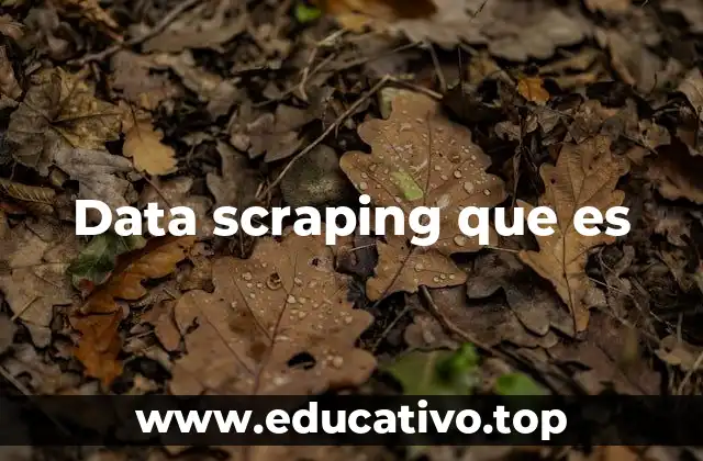 Data scraping que es