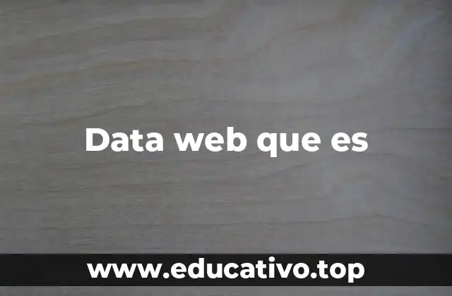 Data web que es