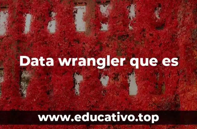 Data wrangler que es