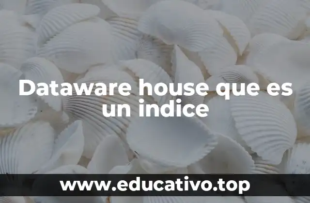 Dataware house que es un indice