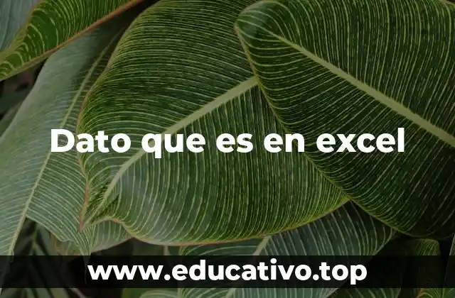 Dato que es en excel