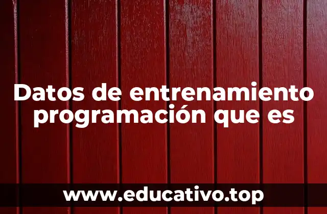 Datos de entrenamiento programación que es
