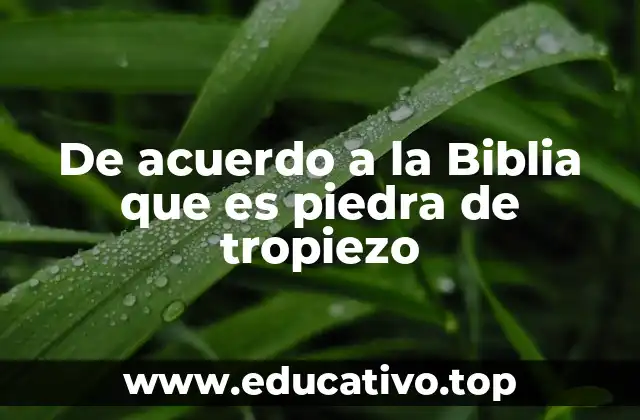 De acuerdo a la Biblia que es piedra de tropiezo