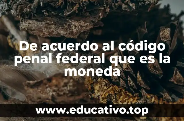 De acuerdo al código penal federal que es la moneda