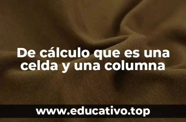 De cálculo que es una celda y una columna