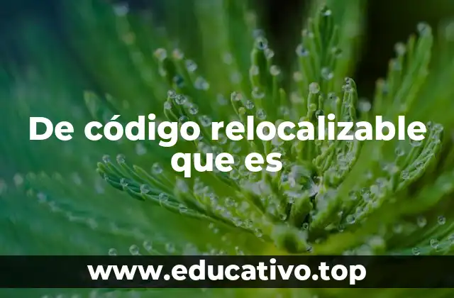 De código relocalizable que es