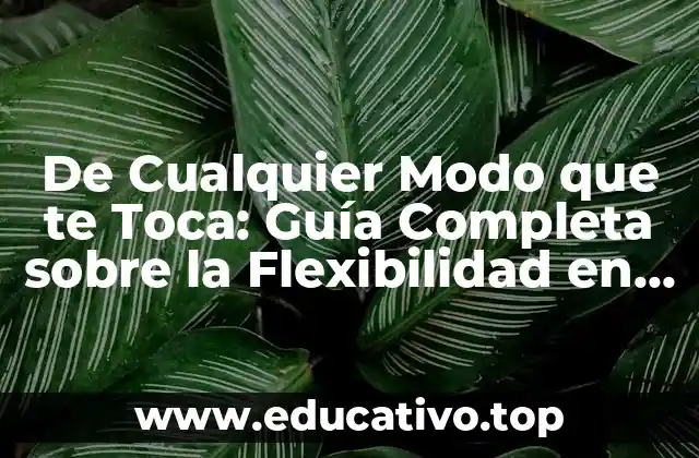 De Cualquier Modo que te Toca: Guía Completa sobre la Flexibilidad en la Vida Diaria