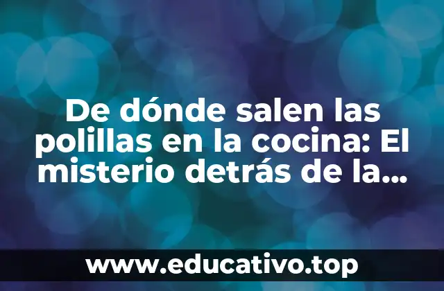 De dónde salen las polillas en la cocina: El misterio detrás de la infestación