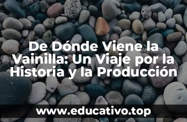 De Dónde Viene la Vainilla: Un Viaje por la Historia y la Producción