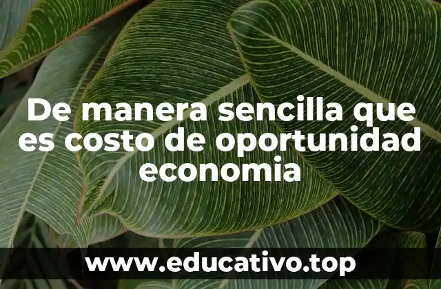 De manera sencilla que es costo de oportunidad economia